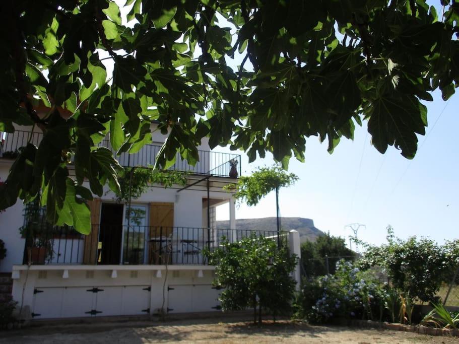 Casa La Higuera Villa Chulilla Exteriör bild