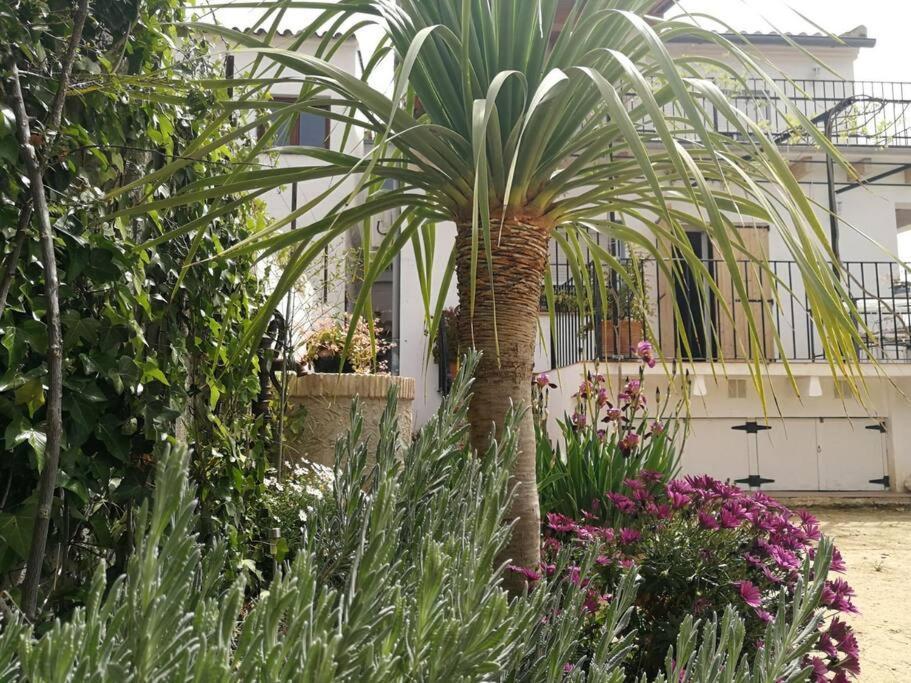 Casa La Higuera Villa Chulilla Exteriör bild