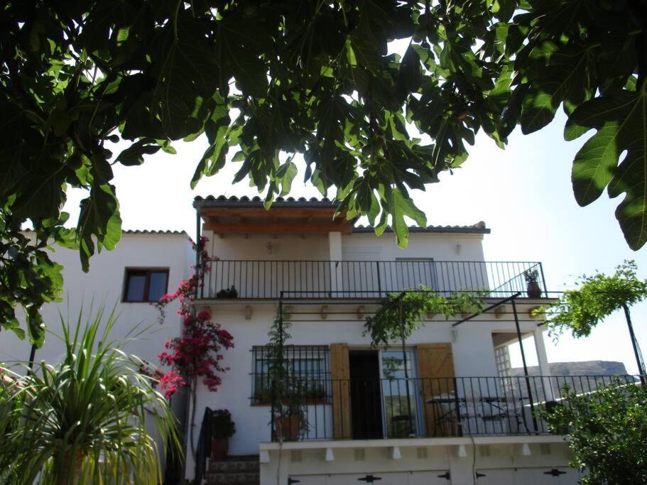Casa La Higuera Villa Chulilla Exteriör bild